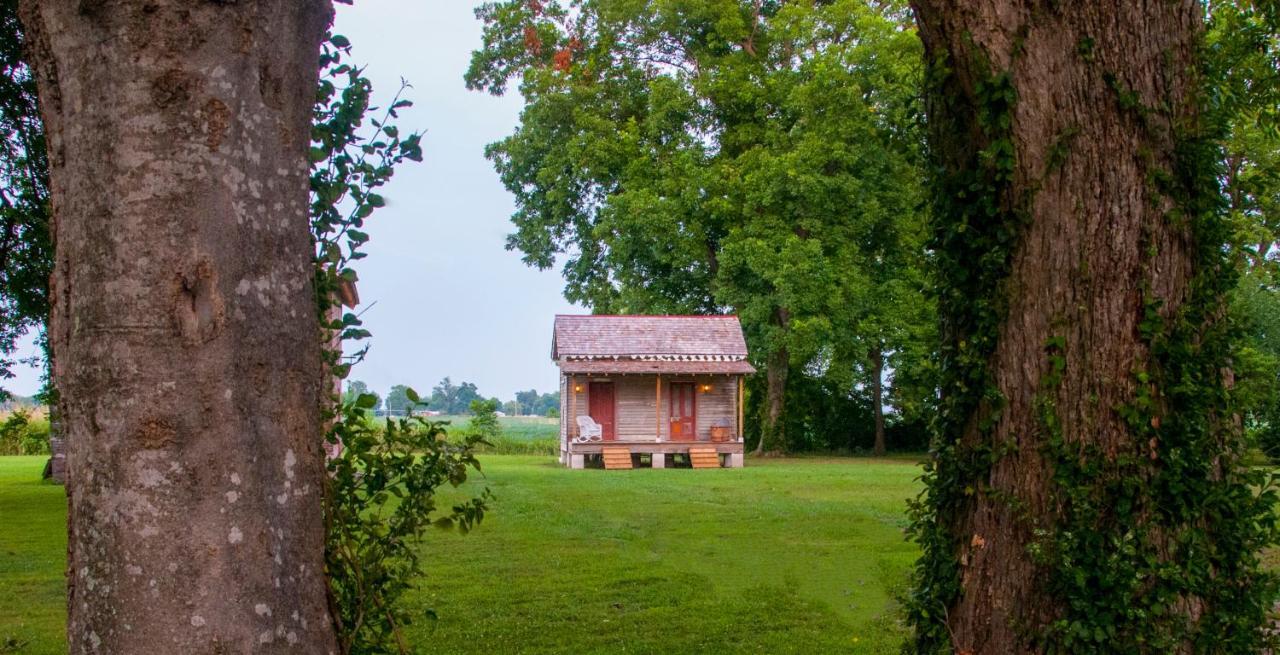Belmont Plantation, Est 1857 Greenville Exterior foto